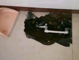 随州卫生间测漏水多少钱